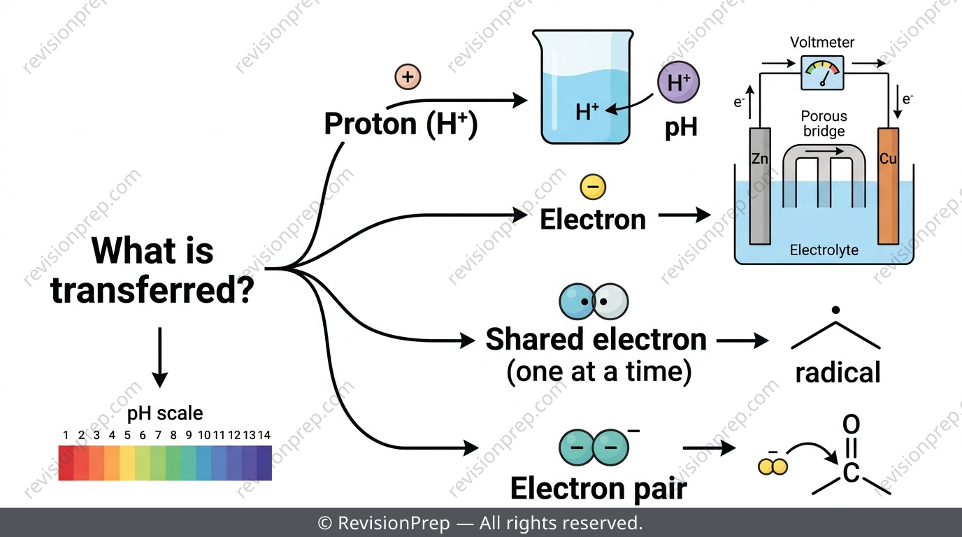 Diagram showing four reaction types classified by species transferred: proton, electron, shared electron pair, electron-pair donation