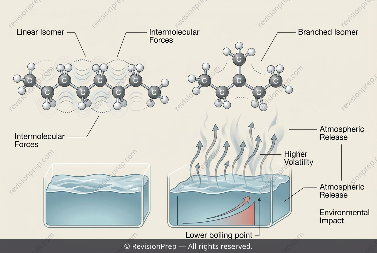 Chemistry: From Branching to Smog - A Hidden Link