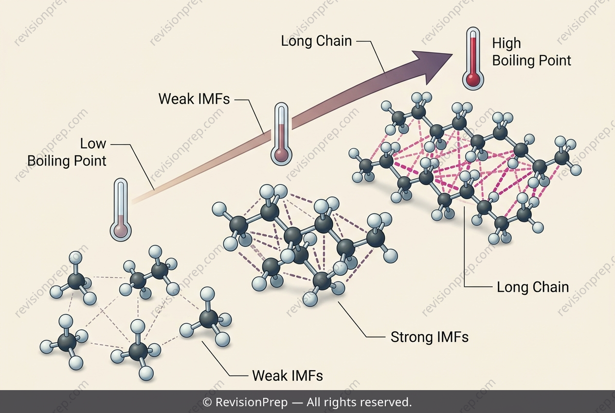 Chemistry: How Chain Length Unlocks Crude Oil's Uses