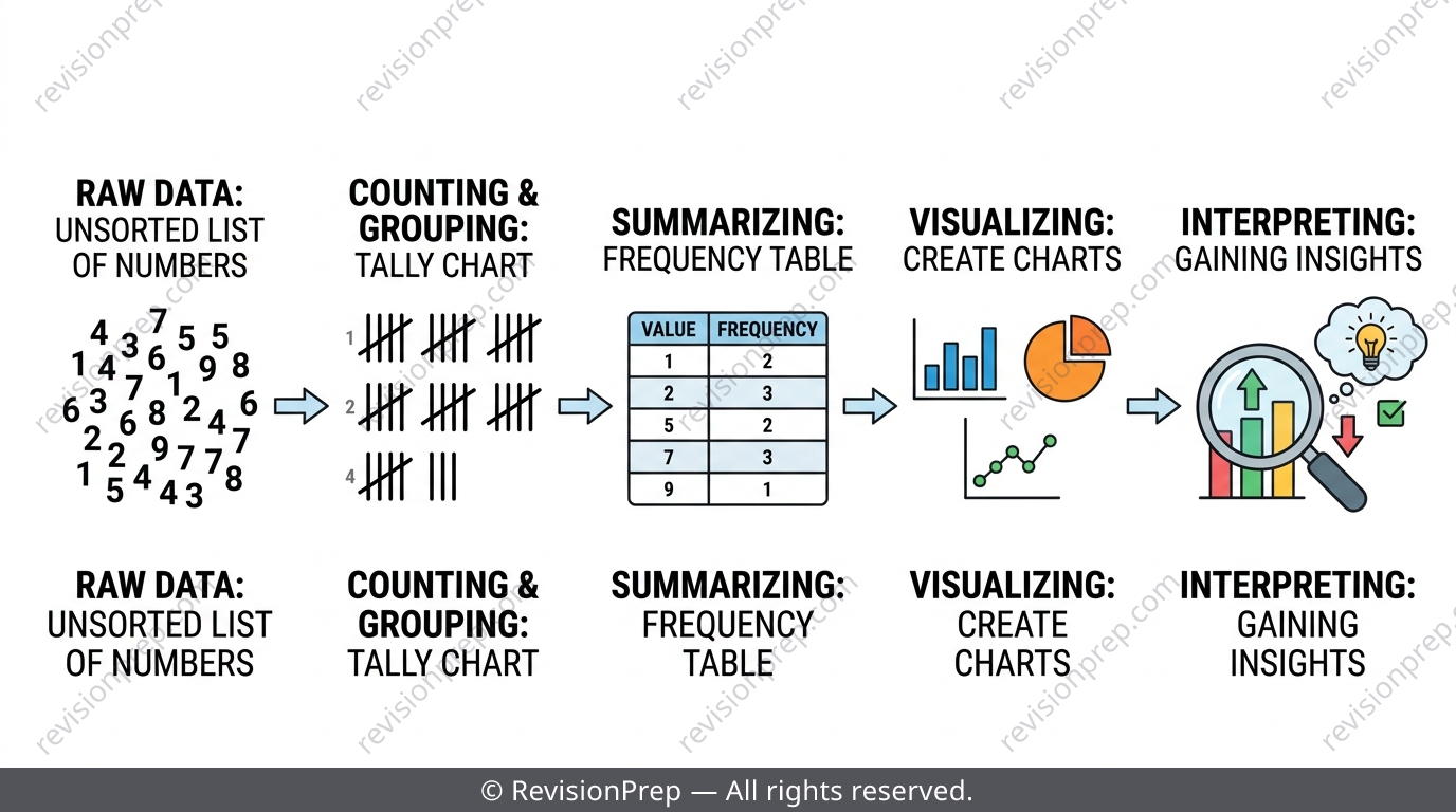 Overview of the data handling pipeline from raw data to charts