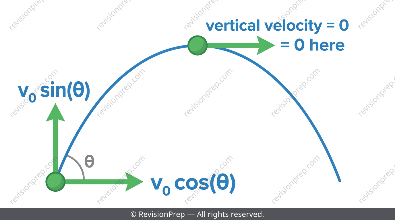 Projectile launched at an angle with horizontal and vertical velocity components labelled at launch and at peak