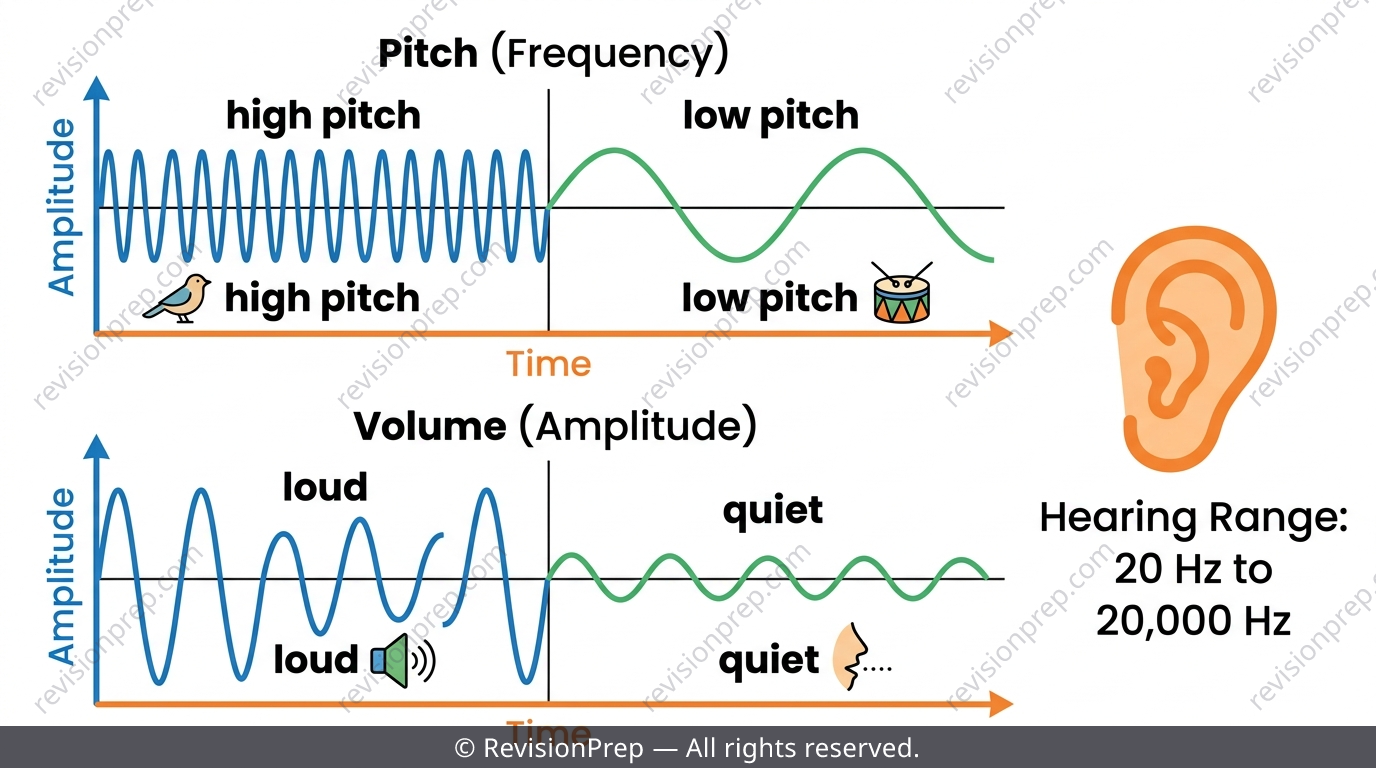 Two sound waveforms comparing frequency to pitch and amplitude to loudness