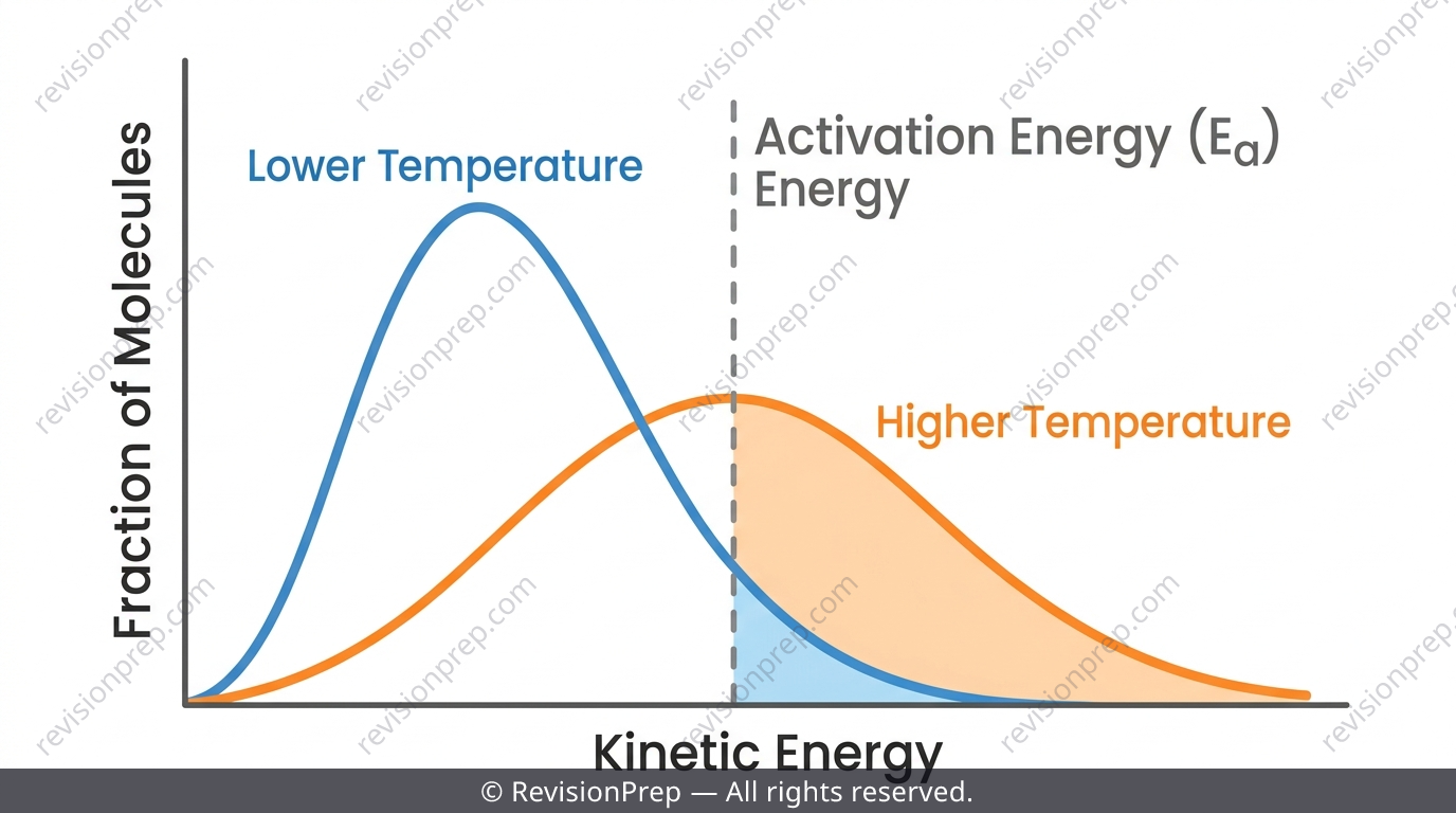 Graph showing particle energy distribution shifting at higher temperature with activation energy line marked