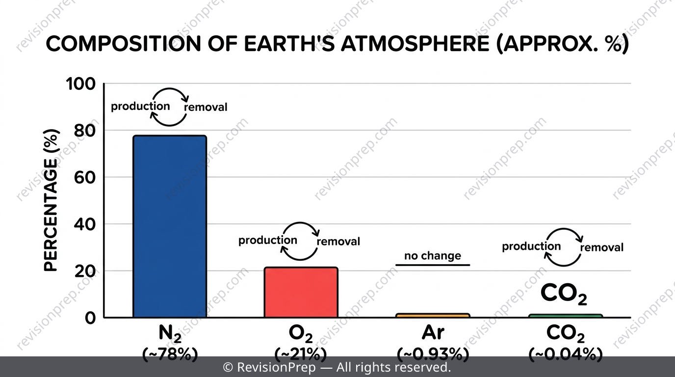 Bar chart of atmospheric gas percentages with steady-state arrows