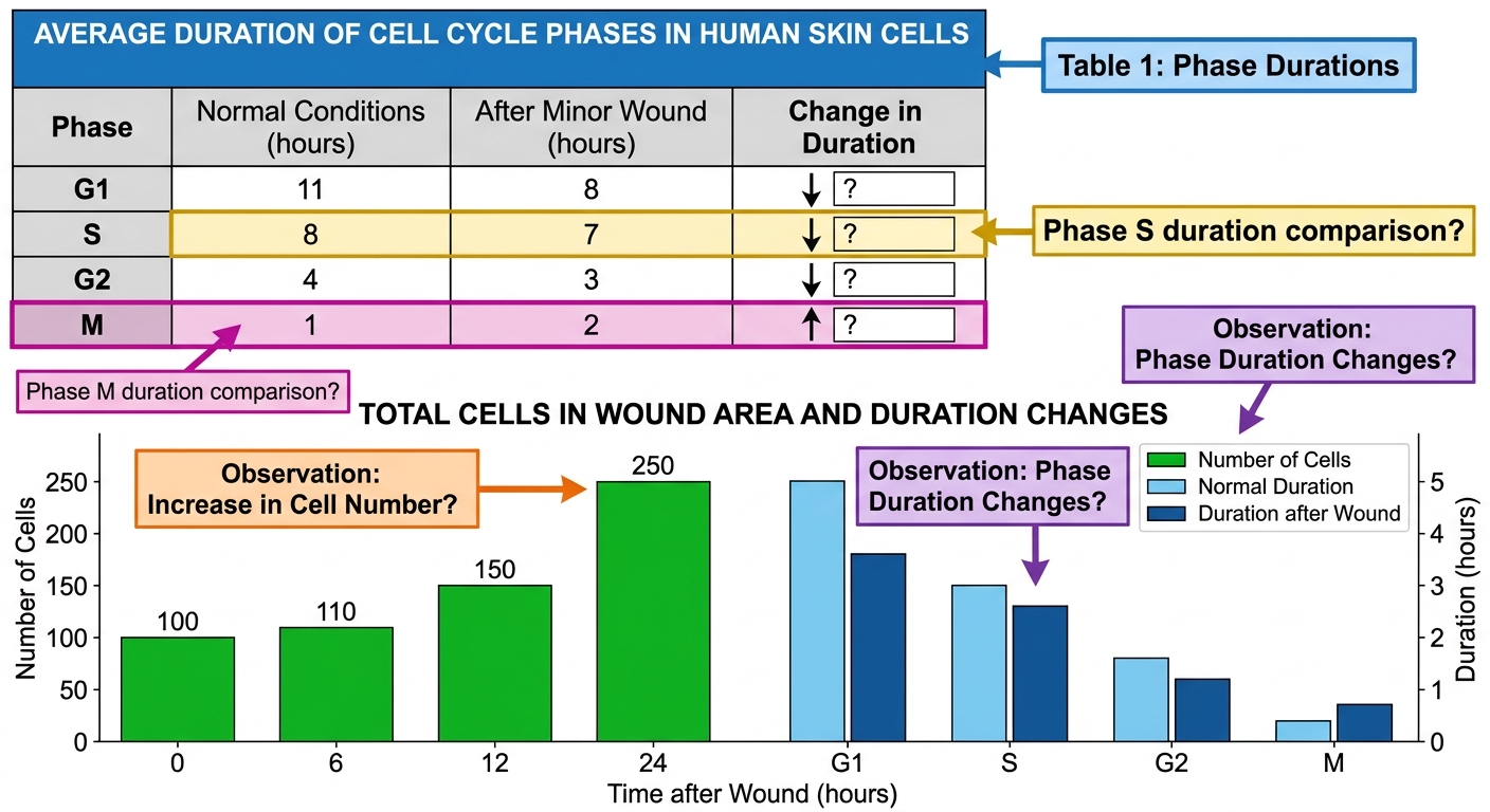 Question diagram