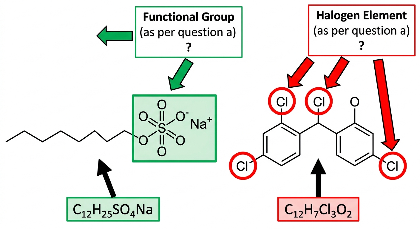 Question diagram