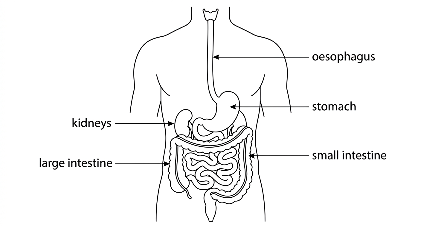 Question diagram
