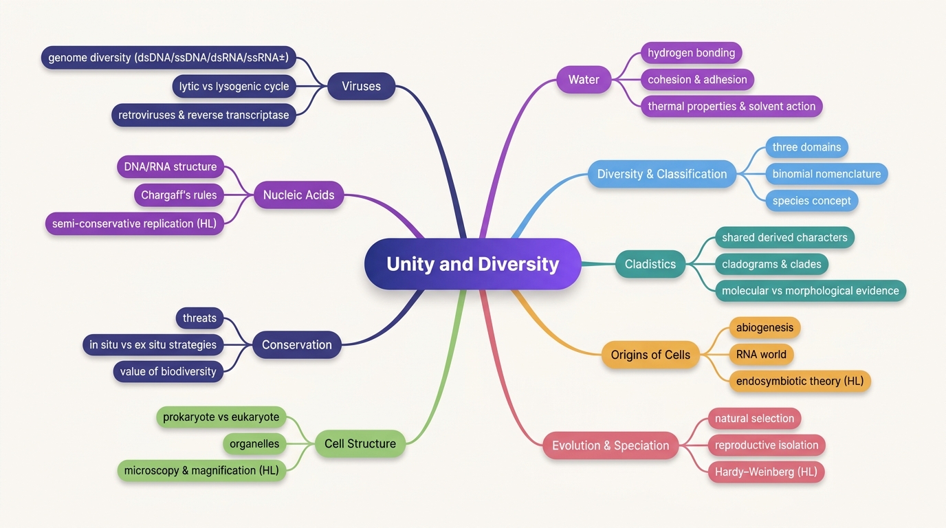 Mind map of Unity and Diversity centred on Unity and Diversity.