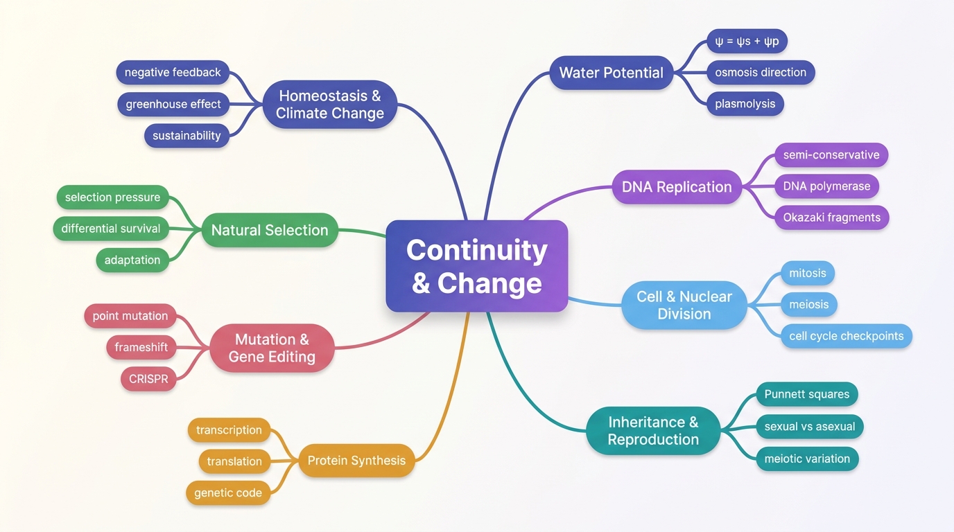 Mind map of Continuity and Change centred on Continuity & Change.